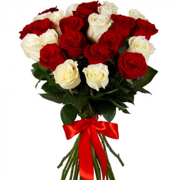 Красные и белые розы 50 cм (выбери кол-во)