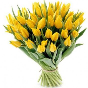 Yellow tulips (select number)