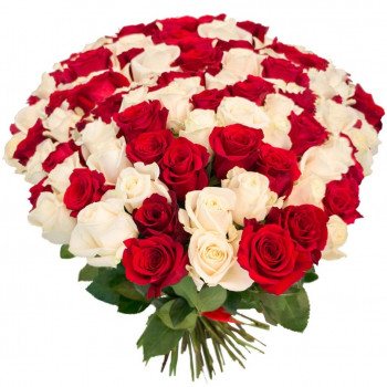 101 красная и белая роза 40 см