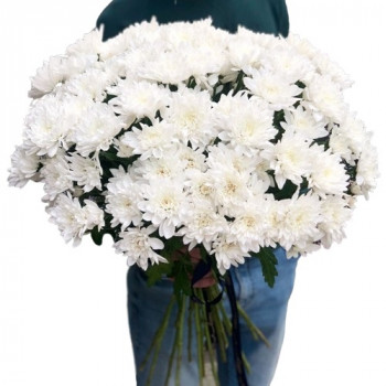 15 White chrysanthemums