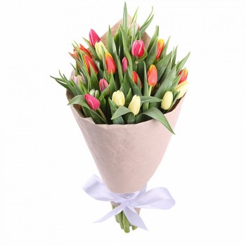 Armful of tulips in a package (29 pcs)