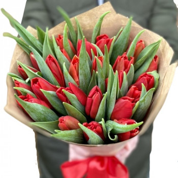 Bouquet of tulips Temptation (25 pcs)