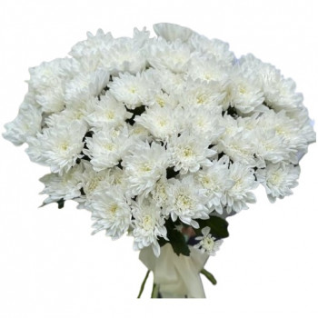 15 White chrysanthemums