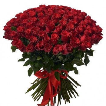 101 long red rose 70 cm