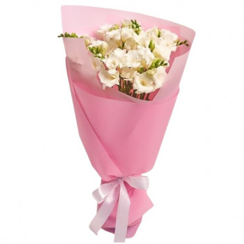 15 white freesia in pink pack