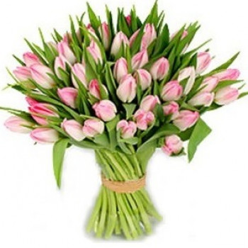 Розовые тюльпаны (выбери кол-во)