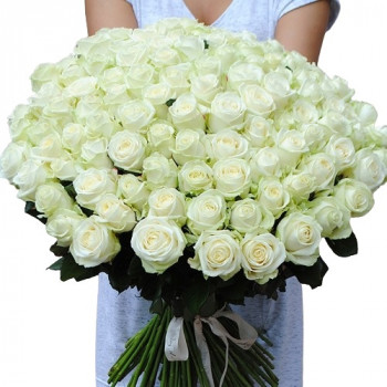 101 white rose 60 cm