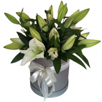 5 white lilies in Flower box