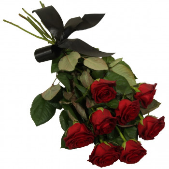 8 sarkanas rozes ar melnu lenti (50 cm)