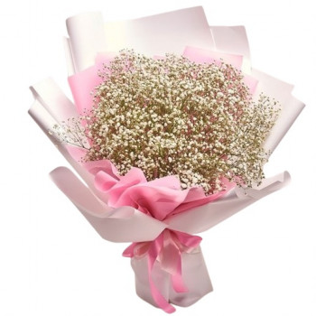 9 gypsophila branches in a pink package