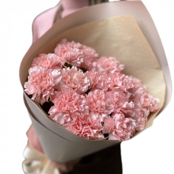 Bouquet of 15 carnations