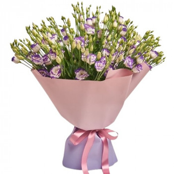 31 фиолетовый лизантус в красивой упаковке