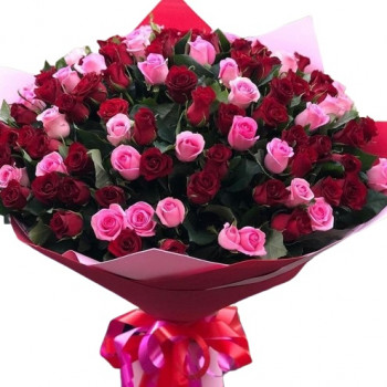 101 rozā un sarkana roze 60 cm