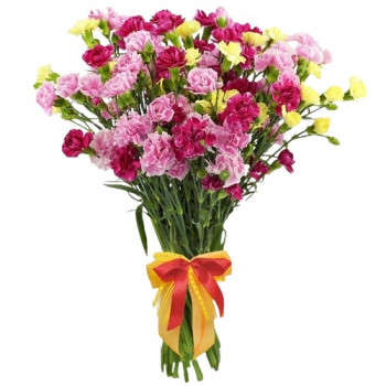 Bouquet of spray carnation 29 pcs
